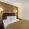 Отель Quality Inn & Suites, фото 5