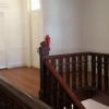 Отель Hostal Amelie, фото 10