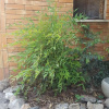 Отель B&B Gagliardi House, фото 11