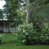 Отель Villa Vidisa, фото 6
