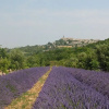 Отель Le Val Des Nymphes - Gîte Lucie, фото 12