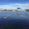 Отель Nordic Host Luxury Apts - Sørenga 175, фото 10