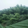 Отель Yui Valley, фото 18