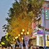 Отель MIDI Hotel Guangdong Chaozhou Xiangqiao District Hanshan Teachers College, фото 1