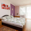 Отель Apartment Rex Balatonboglar/Balatonlelle, фото 3