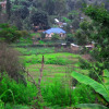 Отель Lushoto Executive Lodge, фото 39