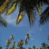 Отель Pousada Paraíso Carneiros, фото 36