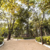 Отель Tiger Trails Resorts, фото 19