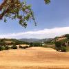 Отель Cozy holiday home in the charming Urbino countryside, фото 34