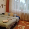 Отель Apartament Nîsner-Bistritz, фото 4