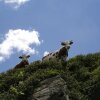 Отель Ansitz Burg Heimfels, фото 19