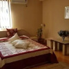 Отель Pensiunea Ideal, фото 4