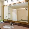 Отель Holiday Inn Express Deer Lake, an IHG Hotel, фото 9