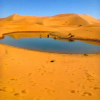 Отель Auberge Kasbah La Rose De Sable, фото 19