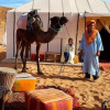 Отель Merzouga Experience Luxury Camp, фото 2