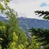 Отель Whistler Village -  Best location - spacious - Village stroll - Walk to lift - bars - restaurants - , фото 19