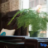 Отель Yunshuiwan Hostel, фото 11