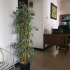 Отель OYO 93202 Pentagon Homestay Syariah, фото 2