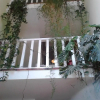 Отель Hostal Posada Huecar, фото 12