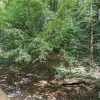 Отель Creekside Romance - One Bedroom Cabin, фото 14
