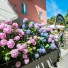 Отель Gli Scoiattoli, фото 17