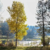 Отель Hayden Lake Estate, фото 6