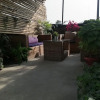 Отель Amore Guest House, фото 15
