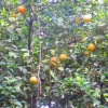 Отель La Posada del Cucú, фото 9