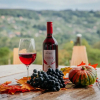 Отель Vineyard cottage Na hribu, фото 13
