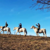Отель Ranch Terra, фото 21