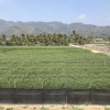 Отель Meinung On the Field Homestay, фото 22