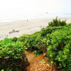 Отель Salal Bluff, фото 23