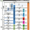 Отель Hostel 758 Nagoya 3G, фото 18