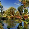 Отель Botanico & The Oriental Spa Garden, фото 38
