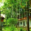 Отель Shanthiteeram Lakeside Heritage Resort, фото 12