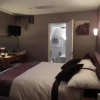 Отель Bwlch Y Fedwen Bed and Breakfast, фото 3