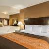 Отель Comfort Inn, фото 6
