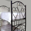 Отель Wealthinns Youth Hostel, фото 1