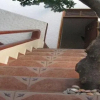 Отель Villas Xaiba, фото 8