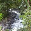 Отель El Refugio de Intag Cloud Forest Lodge, фото 9