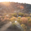 Отель Ongava Tented Camp, фото 1