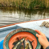 Отель Uros Lupaka Lodge Hotel, фото 8