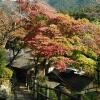 Отель Matsuno Onsen Suikoen, фото 11