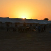 Отель Rajputana Desert Camp, фото 11