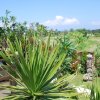 Отель Villa Bali Borneo, фото 1