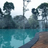 Отель Coorg Wilderness Resort & Spa, фото 11