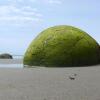 Отель Moeraki Boulders Kiwi Holiday Park, фото 17