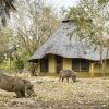 Отель Montebelo Gorongosa Lodge & Safari, фото 12