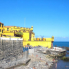 Отель Top Floor with terrace in Funchal, фото 12