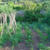 Отель Agriturismo la Lecciola, фото 4